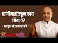 प्राणीमात्रांकडून काय शिकावे? - Marathi News | What to learn from animals? | Latest bhakti Videos at Lokmat.com