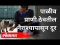 World Animal Welfare Day : पाळीव प्राणी ठेवतील नैराश्यापासून दूर | India News - Marathi News | World Animal Welfare Day: Keep pets away from depression | India News | Latest health Videos at Lokmat.com