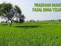 कर्जदार शेतकऱ्यांमुळे तरतेय ‘प्रधानमंत्री पीक विमा योजना’ - Marathi News | Due to debtor farmers 'Prime Minister's Crops Insurance Scheme' flourish | Latest nagpur News at Lokmat.com