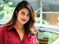 'भारत'नंतर प्रियांका चोप्रा दिसणार 'या' सिनेमात - Marathi News | Priyanka Chopra will appear after 'India' or ' | Latest filmy News at Lokmat.com