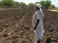 दुष्काळग्रस्त शेतकऱ्यांच्या मदतीसाठी मागितले प्रस्ताव! - Marathi News | Proposal sought for help of drought-hit farmers! | Latest akola News at Lokmat.com