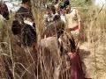 रडण्याचा राग आला, मुलीचे डोके भिंतीवर आपटून हत्या; मृतदेह छातीला लावून नेत दिले फेकून - Marathi News | In Rajkot, Gujarat, a two-and-a-half-year-old girl was killed by her stepfather after getting angry at her crying. | Latest crime News at Lokmat.com