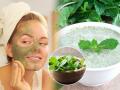 करा पुदिना फेशियल, त्वचेचा बिघडलेला पोत होईल परफेक्ट सुंदर- चेहऱ्याचा खुलेल रंग - Marathi News | Mint facial is useful for damaged skin. A kitchen remedy for natural glow | Latest sakhi News at Lokmat.com