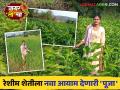 Women Farmer Story : रेशीम शेतीतून नाशिकच्या भोये कुटुंबाचं अर्थकारण कसं बदललं? वाचा सविस्तर  - Marathi News | Latest News Navratri Special Women Farmer Story How did economy of Bhoye family of Nashik change from silk farming Read in detail  | Latest agriculture News at Lokmat.com