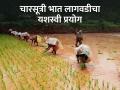 पुळेकर कुटुंबीय घेता आहेत बारमाही शेतीतून उत्पन्न - Marathi News | Pulekar family is getting income from perennial agriculture | Latest agriculture News at Lokmat.com