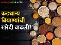 Pulse Seed : जळगाव जिल्ह्यात कडधान्य बियाण्यांची खरेदी का वाढली? जाणून घ्या सविस्तर  - Marathi News | Latest news Purchase of pulse seeds increased in Jalgaon district Know in detail  | Latest agriculture News at Lokmat.com