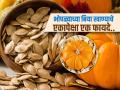भोपळा चिरुन बिया फेकून देता, करताय लाखो रुपयांचं नुकसान! भोपळ्याच्या बियांचे वाचा फायदे - Marathi News | Reasons Why You Should Start Your Day With Pumpkin Seeds | Latest sakhi Photos at Lokmat.com
