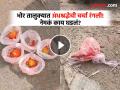 Video: मध्यरात्रीचा अघोरी प्रकार..! भोर तालुक्यात घरांसमोर लिंबू-गुलालाच्या जादूटोण्याच्या पुड्या - Marathi News | Pune Crime Shocking form of Aghori witchcraft in Pune district; Atmosphere of fear in Visgaon valley of Bhor taluka | Latest pune News at Lokmat.com