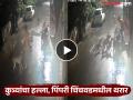 Pune Dog Attack Video: एकटं फिरायचं की नाही! अचानक 6-7 कुत्र्यांचा हल्ला; पिंपरीत कसा वाचला तरुण? - Marathi News | Pune Dog Attack Video: Should I walk alone or not! Suddenly attacked by 6-7 dogs; How did the youth survive in Pimpri? | Latest pune News at Lokmat.com