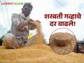 Wheat Market : शरबती गव्हाचा दबदबा कायम, पुणे बाजारात काय भाव मिळाला? वाचा सविस्तर  - Marathi News | Latest News 21 may 2024 todays Wheat market in pune market yard check here | Latest agriculture News at Lokmat.com