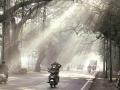 आता नवीन वर्षातच वाढेल थंडीचा जाेर - Marathi News | Now in the new year, the cold will increase | Latest nagpur News at Lokmat.com