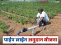 Pipe Line Yojana : पाईपलाईन योजनेचा मॅसेज आला का? सात दिवसांत 'हे' काम कराच, वाचा सविस्तर  - Marathi News | Latest News Pipe Line Scheme Subsidy Upload documents if eligible under pipeline scheme read in detail | Latest agriculture News at Lokmat.com