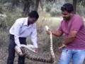 भात साठवण्याच्या जागेत आढळला नऊ फुटांचा अजगर - Marathi News | nine foot python found in saravali village dahanu | Latest vasai-virar Videos at Lokmat.com