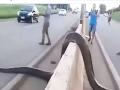 VIDEO : हायवे क्रॉस करताना दिसला विशाल अजगर, रस्त्यावर ट्रॅफिक जाम... - Marathi News | Worlds biggest snake came on the road people trembled due to fear | Latest social-viral News at Lokmat.com