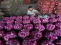 निर्यात नाही, भाव कोसळले, कांदा आणतोय डोळ्यात पाणी - Marathi News | There is no export, prices have fallen, onion is bringing tears to the eyes of farmers | Latest navi-mumbai News at Lokmat.com