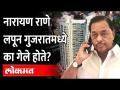 तेव्हा नारायण राणेंना भाजपने 'ही' भिती दाखवली? Why did Narayan Rane go into hiding in Gujarat? - Marathi News | So did BJP show 'this' fear to Narayan Rane? Why did Narayan Rane go into hiding in Gujarat? | Latest maharashtra Videos at Lokmat.com