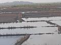 समुद्राला उधाण आल्याने खारबंदिस्ती फुटून नुकसान - Marathi News | Loss of seawater breaks due to sea level rise | Latest raigad News at Lokmat.com