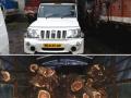 भांडीवलीत खैर भरलेल्या पिकअपवर कारवाई - Marathi News | Action on pickups filled with utensils | Latest raigad News at Lokmat.com