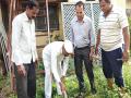 कावळ्याला जीवदान देण्याचे प्रयत्न असफल - Marathi News |  Attempts to deliver life to Kawal failed | Latest raigad News at Lokmat.com