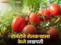 Success Story अभियंता पदवी घेऊनही धरला शेतीचा मार्ग; अल्पावधीतच एक एकरातील टोमॅटोने केले लखपती - Marathi News | Success Story took the path of agriculture even with an engineering degree; Within a short period of time, one acre of tomatoes made lakhs | Latest agriculture News at Lokmat.com