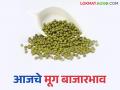 आवक कमीच तरीही दर मात्र मंदावलेले; वाचा राज्यातील आजचे मूग बाजारभाव - Marathi News | Despite low arrivals, prices have slowed down; Read today's moong market prices in the state | Latest agriculture News at Lokmat.com