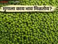 Moong Bajarbhav : चाळीसगावला यंदाच्या हंगामातील मूग नऊ हजारी, वाचा आजचे बाजारभाव?  - Marathi News | Latest News Chalisgaon market, the price of mugwort is 9 thousand rupees per quintal | Latest agriculture News at Lokmat.com