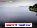 गंगाखेडच्या मासोळी मध्यम प्रकल्पाने गाठली शंभरी; राणीसावरगाव तलाव भरण्याच्या उंबरठ्यावर - Marathi News | Gangakhed's Masoli Medium Project reaches 100 years; Ranisavargaon Lake on the verge of filling | Latest agriculture News at Lokmat.com