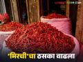 बाजारात लाल मिरची खातेय भाव; यंदा 'उत्पादनात घट, आवक कमी'चा परिणाम - Marathi News | Red chilli prices in the market are falling; this year the result of 'decrease in production, low arrivals' | Latest agriculture News at Lokmat.com
