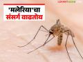 मलेरियाच्या रुग्णांत होतेय वाढ; काळजी घेण्याचे सहायक संचालकांचे आवाहन - Marathi News | Malaria patients are increasing; Assistant Director appeals to take care | Latest agriculture News at Lokmat.com