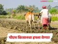 Pm Kisan Scheme : पीएम किसानचा पुढचा हफ्ता 'या' तारखेला मिळणार, पण तुम्ही दोन हजार रुपये विसरा! - Marathi News | Latest news next 22th installment of PM Kisan scheme will be available holi festival | Latest agriculture News at Lokmat.com