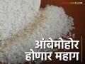Ambemohar Rice : नवीन हंगामाच्या सुरुवातीलाच १५ ते २० टक्के दरवाढ; यंदा आंबेमोहोर तांदूळ का होतोय महाग वाचा सविस्तर - Marathi News | Ambemohar Rice: Price hike of 15 to 20 percent at the beginning of the new season; Read in detail why Ambemohar rice is becoming expensive this year | Latest agriculture News at Lokmat.com