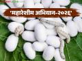 रेशीम शेतीला मिळणार पुन्हा एकदा नवी झळाळी; राज्याच्या ३३ जिल्ह्यांत महारेशीम अभियान - Marathi News | Sericulture will once again get a new boost; Mahareshim Abhiyan in 33 districts of the state | Latest agriculture News at Lokmat.com