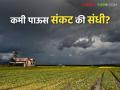 यंदाचा कमी पावसाचा अंदाज शेतकऱ्यांसाठी संकट की संधी? वाचा काय सांगताहेत तज्ञ - Marathi News | Is this year's low rainfall forecast a crisis or an opportunity for farmers? Read what experts are saying | Latest agriculture News at Lokmat.com