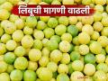 आवक कमी त्यात मागणी वाढली; लिंबाच्या दरात विक्रमी वाढ - Marathi News | Demand increased as arrivals decreased; Lemon prices hit record high | Latest agriculture News at Lokmat.com