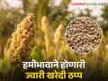 भरडधान्य ज्वारी खरेदीला मुदतवाढ; पण गोदाम उपलब्ध नसल्याने खरेदी झाली ठप्प - Marathi News | Extension of purchase of bulk sorghum; But as the warehouse was not available, the purchase was stopped | Latest agriculture News at Lokmat.com