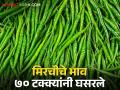 Green Chilli Market मिरचीने आणले शेतकऱ्यांच्या डोळ्यांत आणले पाणी; मिरची दरात ७० टक्क्यांनी घसरण - Marathi News | Green Chilli Market brings tears to the eyes of farmers by chilli; 70 percent drop in chilli prices | Latest agriculture News at Lokmat.com