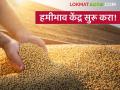 ऐन काढणीच्या काळात पावसाने मोडले शेतकऱ्यांचे कंबरडे; आर्थिक संकटात सापडलेल्या सोयाबीन उत्पादकांची हमीभाव केंद्राची मागणी - Marathi News | Rains during soybean harvest have broken the backs of farmers; soybean producers in financial crisis demand support price from the Center | Latest agriculture News at Lokmat.com