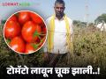 विक्रमी उत्पादनाची कुणाला सांगावी कथा टोमॅटो दराने रडवले रे दादा; शेतकरी सांगताहेत व्यथा - Marathi News | Who should tell the story of record production? Tomato prices made me cry; Farmers are expressing their pain | Latest agriculture News at Lokmat.com