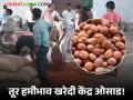 आवश्यकता हरभऱ्याची सुरू केले तुरी खरेदी केंद्र; उत्पादकांअभावी हमी केंद्र ओसाड - Marathi News | Requirement of grams but started tur purchase center; Guarantee center is deserted due to absence of producers | Latest agriculture News at Lokmat.com