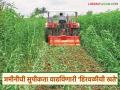 हिरवळीचे खते देतील साथ; शेतकरी राजांनो, यंदा शेती खर्चात करा मोठी कपात - Marathi News | Green manures will help; Farmers, make a big cut in farming expenses this year | Latest agriculture News at Lokmat.com