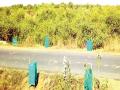 जमिनी खरेदी करूनही प्रकल्पाच्या नावाने शिमगा - Marathi News | After purchasing the land, it will be named after the project | Latest raigad News at Lokmat.com