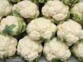 फूलकोबीचा तोरा कायम; पालेभाज्याही महाग - Marathi News | Cauliflower high; Leafy vegetables are also expensive | Latest nagpur News at Lokmat.com