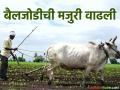 शेतशिवारातील खर्चात होणार वाढ; बैलजोडीची रोजंदारी वाढली - Marathi News | Farm expenses will increase; Daily wage of bullock cart increased | Latest agriculture News at Lokmat.com
