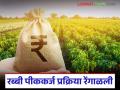 Crop Loan : बँकांच्या विलंबामुळे रब्बी हंगामातील पीककर्जाचे वाटप अडचणीत - Marathi News | latest news Crop Loan: Disbursement of crop loans for the Rabi season is in trouble due to delays by banks | Latest agriculture News at Lokmat.com