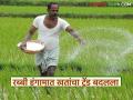 Rabi Season Fertilizer Use : रब्बी हंगामात खतांचा ट्रेंड बदलला; ‘या’ खतांची मागणी सर्वाधिक - Marathi News | latest news Rabi Season Fertilizer Use: Fertilizer trend changed in Rabi season; ‘These’ fertilizers are in highest demand | Latest agriculture News at Lokmat.com