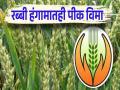 रब्बी पीक विमा योजनेत सहभागासाठी सव्वातीन लाख अर्ज - Marathi News | pune news three and a half lakh applications for participation in Rabi Crop Insurance Scheme | Latest pune News at Lokmat.com