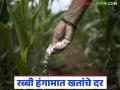 Fertilizer Rate : रब्बी हंगामात खतांचे भाव काय राहतील, नवीन दर आलेत, वाचा सविस्तर - Marathi News | latest News new prices of fertilizers for Kharif and Rabi seasons, read in detail | Latest agriculture News at Lokmat.com
