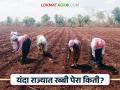 Rabi seasons 2024 : मुबलक पाण्यामुळे राज्यात 'इतके' लाख हेक्टरने वाढले रब्बीचे क्षेत्र - Marathi News | Rabi seasons 2024 : Rabi area increased by 'so many' lakh hectares in the state due to abundant water | Latest agriculture News at Lokmat.com