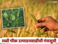 Rabbi Crop Management : रब्बी पिकांचं उत्पादन वाढवायचं, 'ही' पंचसूत्री लक्षात ठेवा!   - Marathi News | Latest news agriculture news Five Formulas for Increasing Rabbi crop Production | Latest agriculture News at Lokmat.com