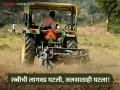 रब्बीची लागवड घटली, जलसाठाही घटला! - Marathi News | Latest News Cultivation of rabbi decreased, water reservoir also decreased | Latest agriculture News at Lokmat.com